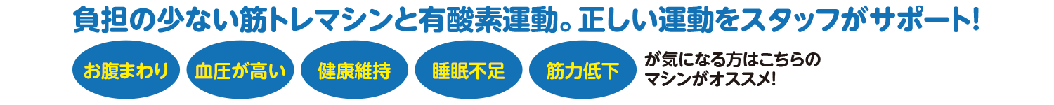 |コンビニフィットネス碧南｜運動不足・肩こり・腰痛・メタボ解消に最適なアットホームなフィットネスジム｜